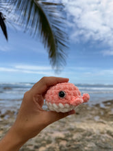 Load image into Gallery viewer, Ballenita