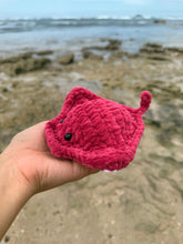 Load image into Gallery viewer, Mantarraya