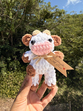 Load image into Gallery viewer, Mini Vaquitas