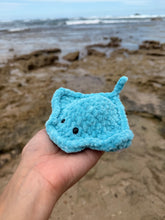 Load image into Gallery viewer, Mantarraya