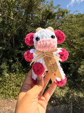 Load image into Gallery viewer, Mini Vaquitas