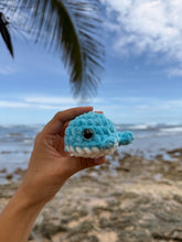 Load image into Gallery viewer, Ballenita