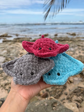 Load image into Gallery viewer, Mantarraya