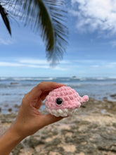 Load image into Gallery viewer, Ballenita