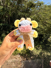 Load image into Gallery viewer, Mini Vaquitas