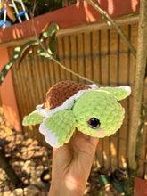 Load image into Gallery viewer, Tortugas
