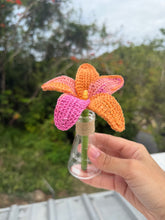 Load image into Gallery viewer, Matraz Flower
