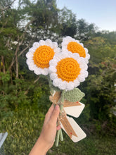Load image into Gallery viewer, Margaritas
