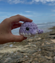 Load image into Gallery viewer, Ballenita
