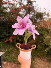 Load image into Gallery viewer, Lirios
