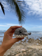 Load image into Gallery viewer, Ballenita
