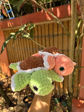 Load image into Gallery viewer, Tortugas
