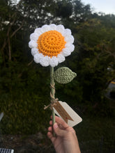Load image into Gallery viewer, Margaritas
