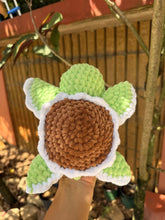 Load image into Gallery viewer, Tortugas
