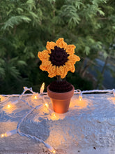 Load image into Gallery viewer, Mini Sunflower
