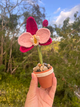 Load image into Gallery viewer, Mini Orchid
