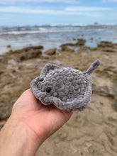 Load image into Gallery viewer, Mantarraya
