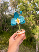 Load image into Gallery viewer, Mini Orchid
