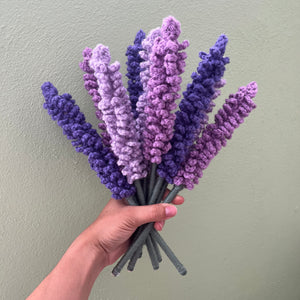 Lavanda