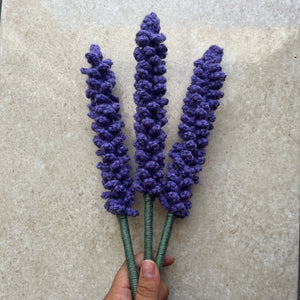 Lavanda