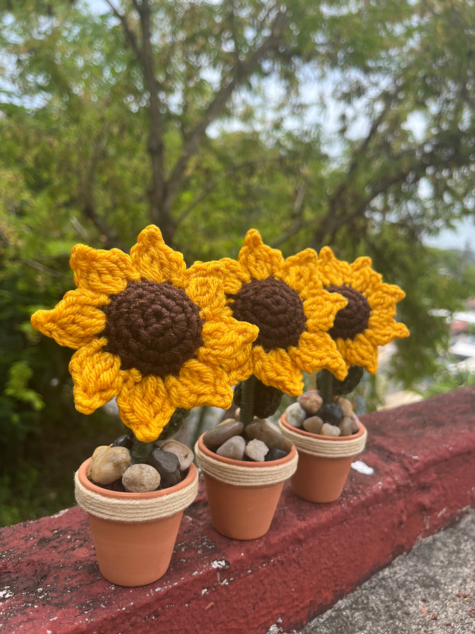 Mini Sunflower