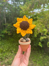 Load image into Gallery viewer, Mini Sunflower
